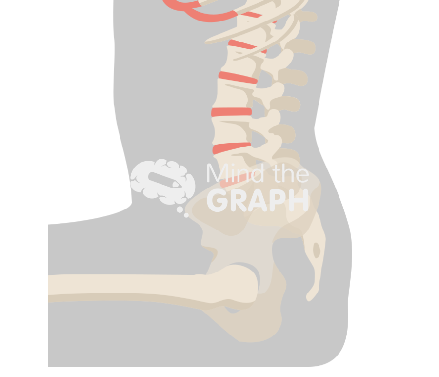 Sacral slope sitting Icons, Symbols, Pictures, and Images