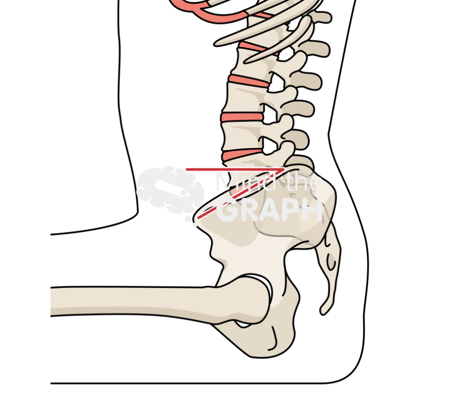 Sacral slope sitting bone full Icons, Symbols, Pictures, and Images