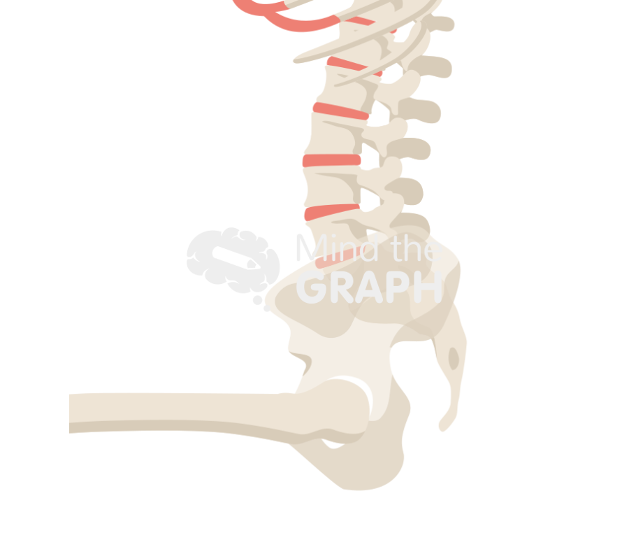 Sacral slope sitting bone full Icons, Symbols, Pictures, and Images
