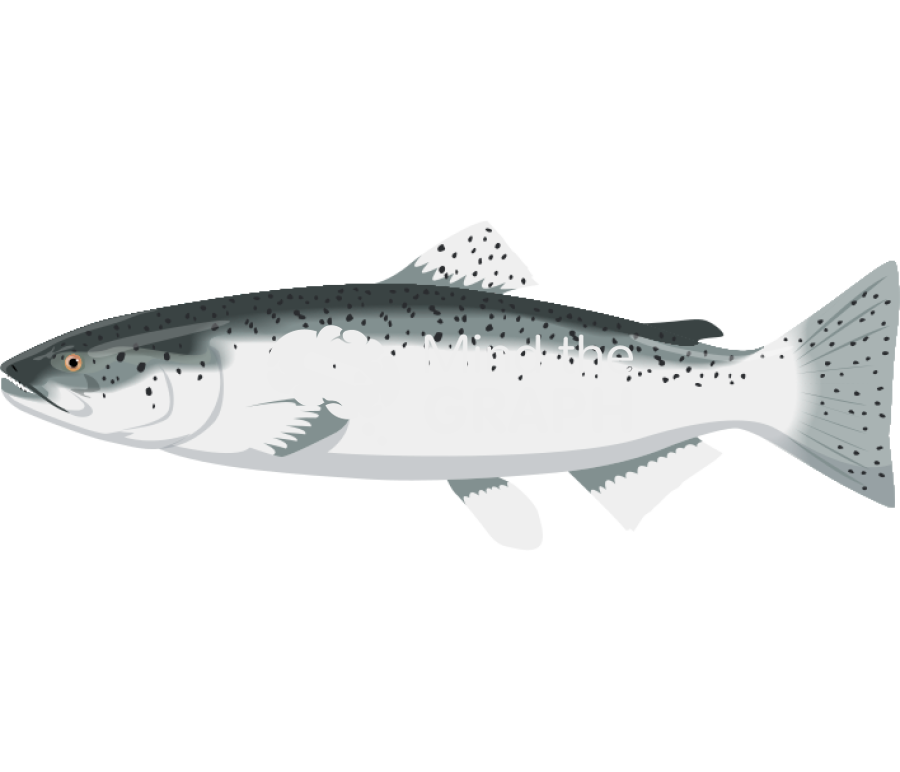 Salmon Icons, Symbols, Pictures, and Images
