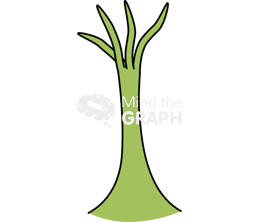 Salvinia trichomes 1 Icons, Symbols, Pictures, and Images