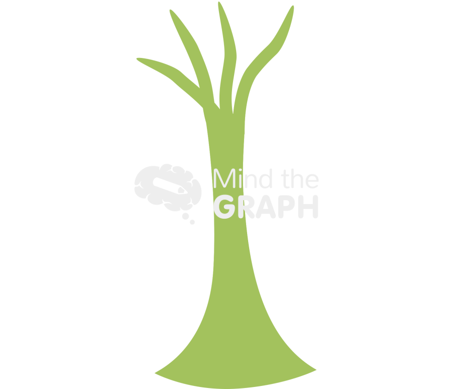 Salvinia trichomes 1 Icons, Symbols, Pictures, and Images