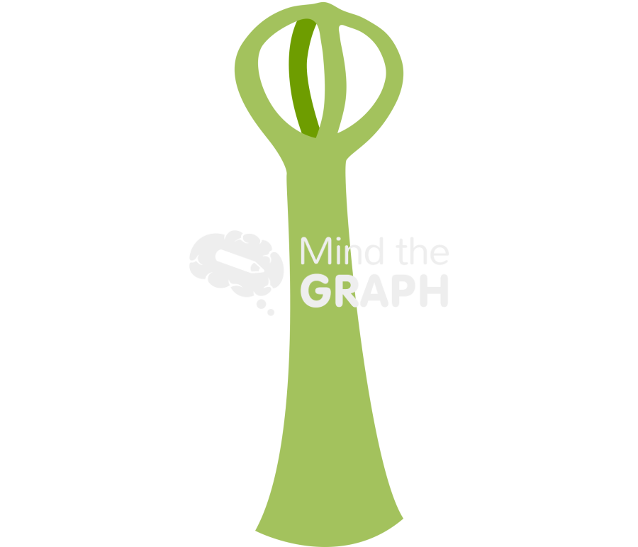 Salvinia trichomes 3 Icons, Symbols, Pictures, and Images