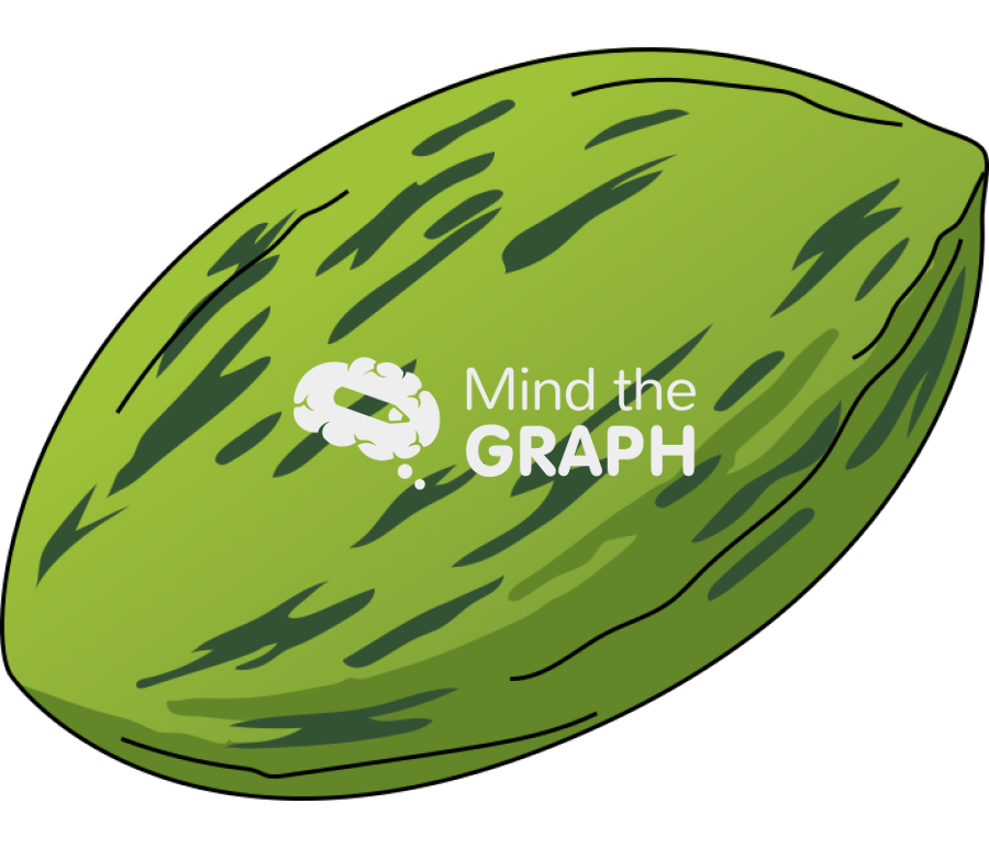 Santa claus melon Icons, Symbols, Pictures, and Images