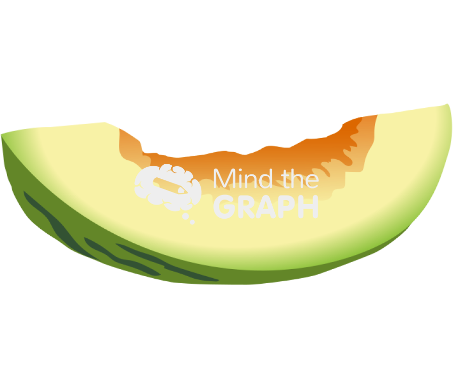 Santa claus melon slice Icons, Symbols, Pictures, and Images