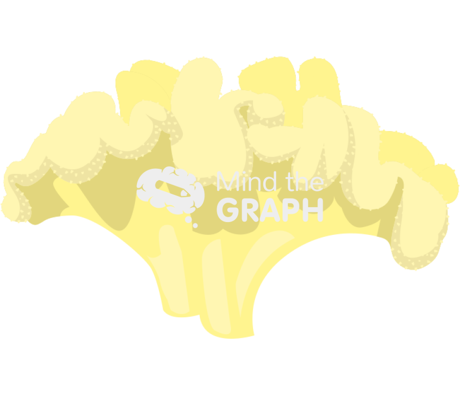 Sarcophyton glaucum leather coral Icons, Symbols, Pictures, and Images