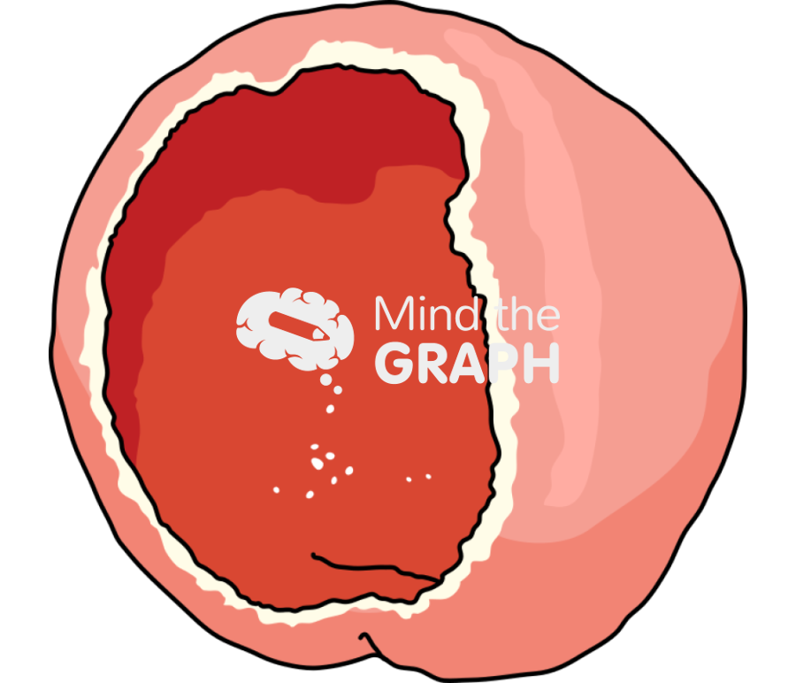 Sarcoscypha coccinea Icons, Symbols, Pictures, and Images