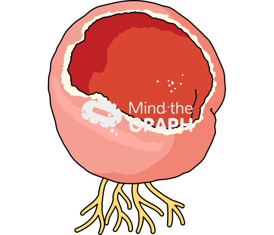 Sarcoscypha coccinea hyfa Icons, Symbols, Pictures, and Images