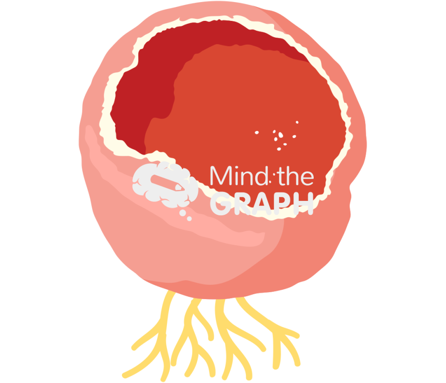 Sarcoscypha coccinea hyfa Icons, Symbols, Pictures, and Images