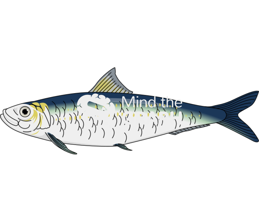 Sardina pilchardus lateral Icons, Symbols, Pictures, and Images