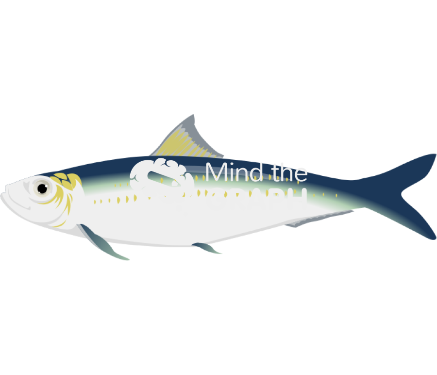 Sardina pilchardus lateral Icons, Symbols, Pictures, and Images