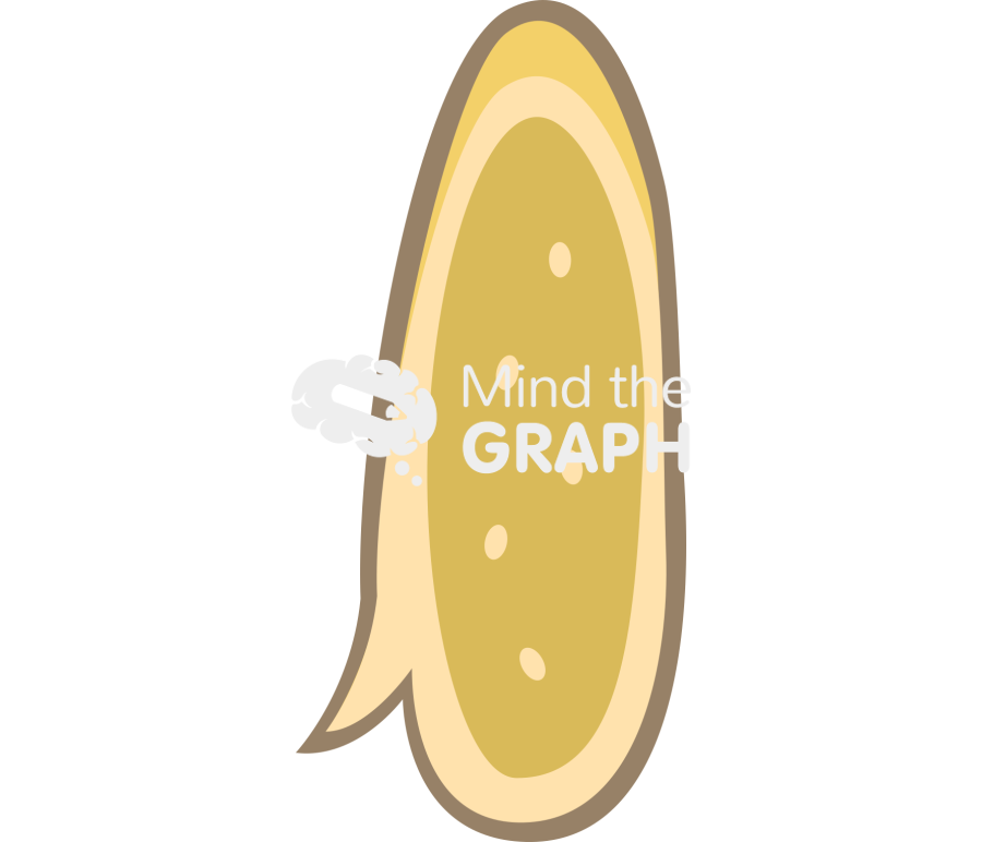 Schistosome egg Icons, Symbols, Pictures, and Images