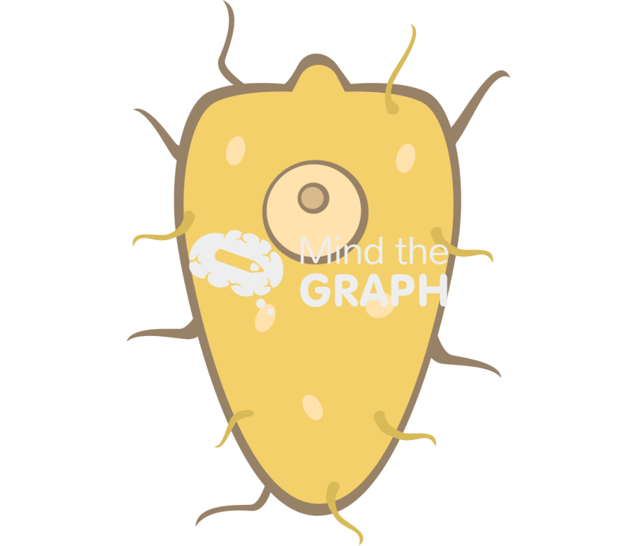 Schistosome miracidium Icons, Symbols, Pictures, and Images