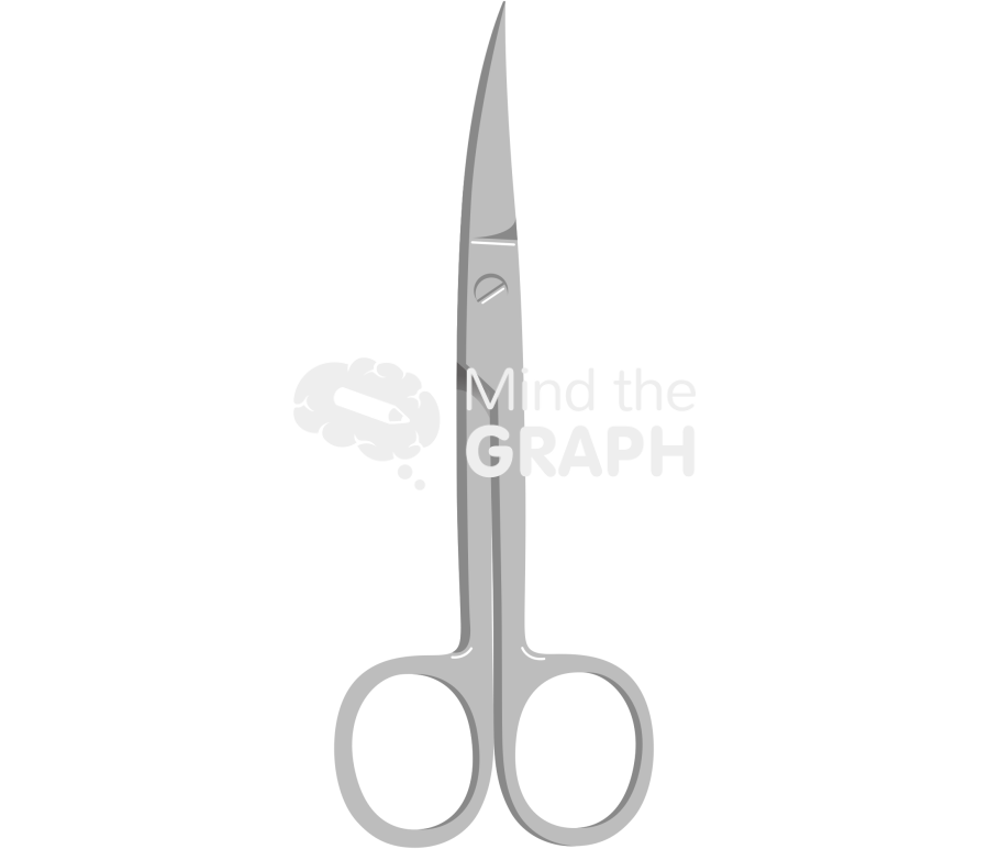 Scissor 4 Icons, Symbols, Pictures, and Images