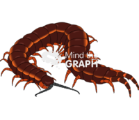 Scolopendra - Edit and Customize Icons of Scolopendra Scolopendra Icons, Symbols, Pictures, and Images