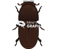 Scolytinae bark beetle - Edit and Customize Icons of Scolytinae bark beetle Scolytinae bark beetle Icons, Symbols, Pictures, and Images