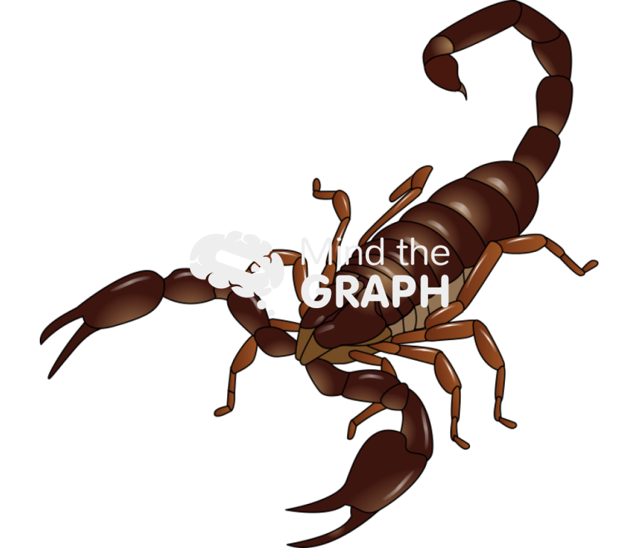 Scorpion Icons, Symbols, Pictures, and Images