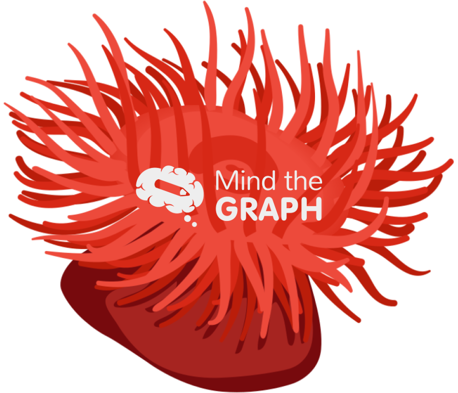 Sea anemone Icons, Symbols, Pictures, and Images