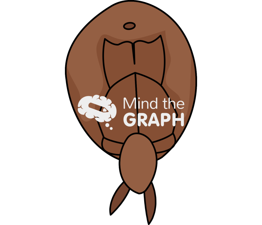 Sea lice male Icons, Symbols, Pictures, and Images