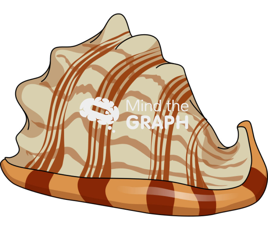 Sea snail Icons, Symbols, Pictures, and Images