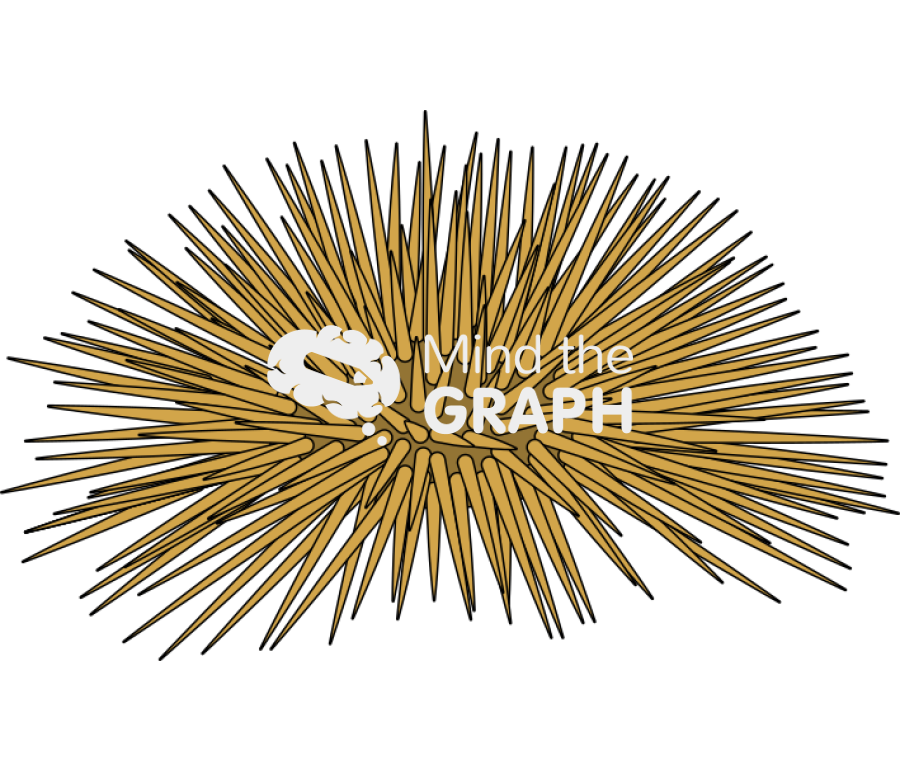 Sea urchin Icons, Symbols, Pictures, and Images