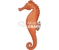 Seahorse Icons, Symbols, Pictures, and Images