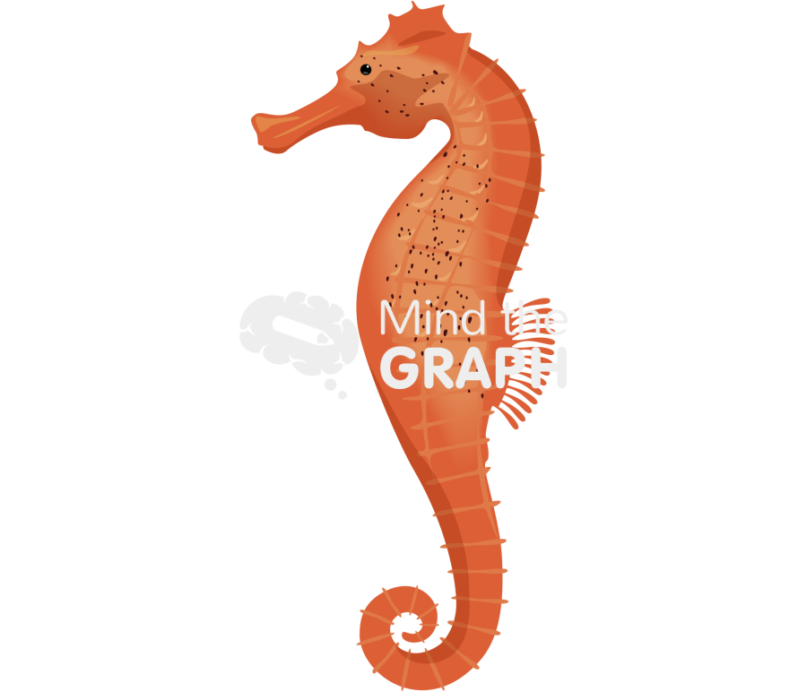 Seahorse Icons, Symbols, Pictures, and Images