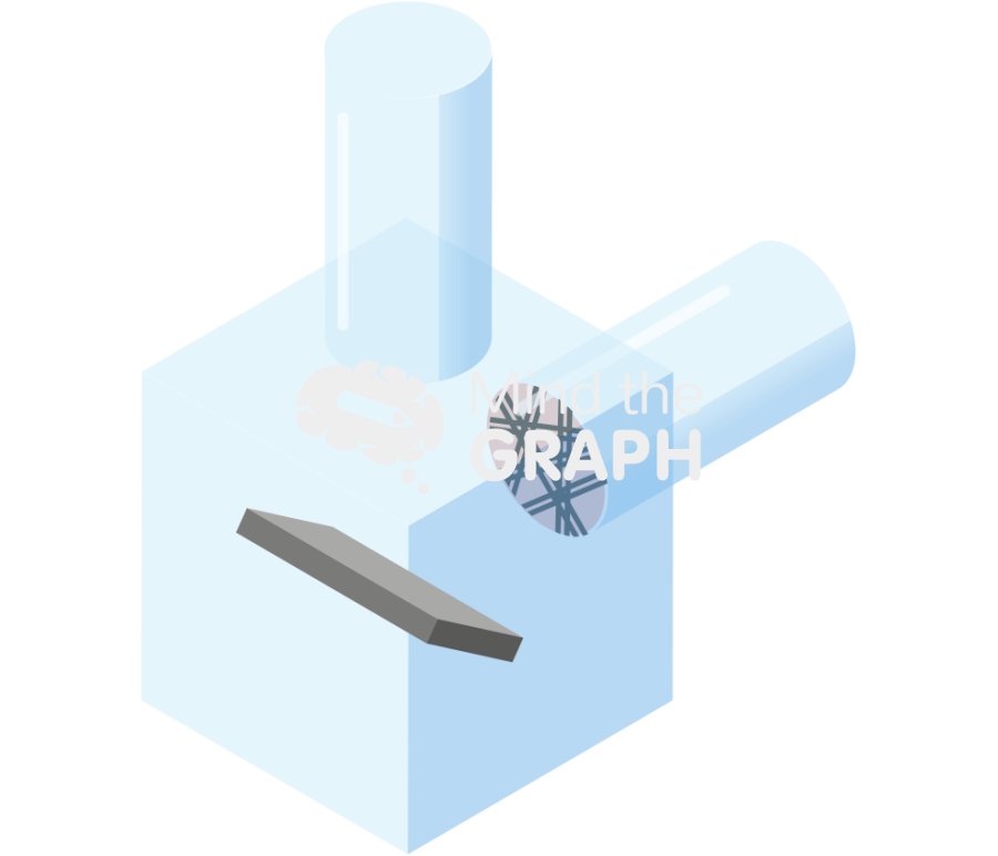 Secondary electron microscopy sem electron backscattered diffraction ebsd perspective Icons, Symbols, Pictures, and Images