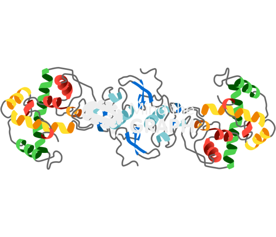 Secreted protein acidic rich cysteine sparc osteonectin Icons, Symbols, Pictures, and Images