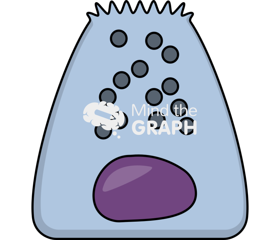 Secretory cell 2 Icons, Symbols, Pictures, and Images