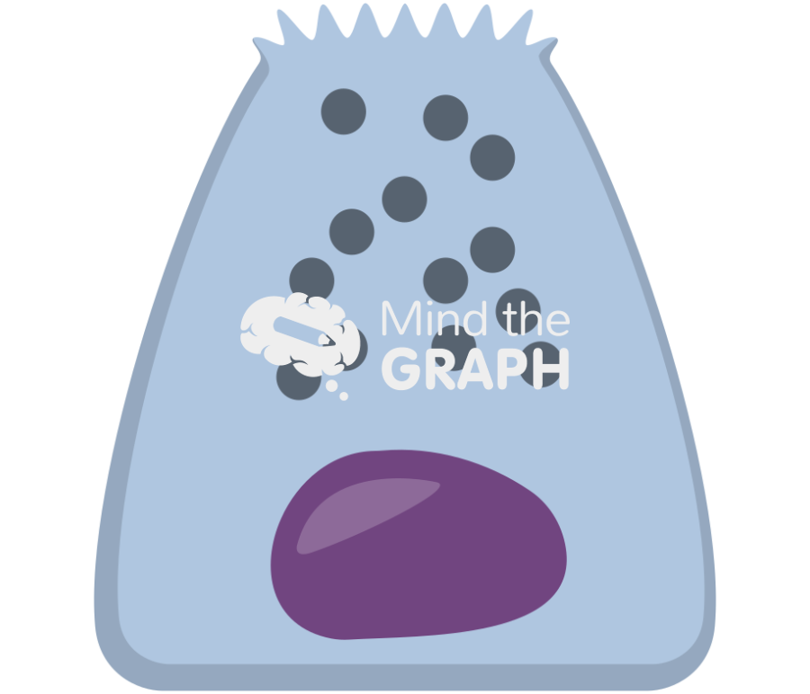 Secretory cell 2 Icons, Symbols, Pictures, and Images