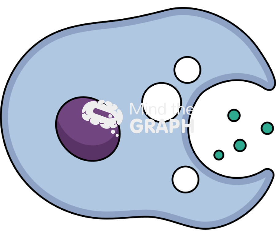 Secretory cell endocrine Icons, Symbols, Pictures, and Images