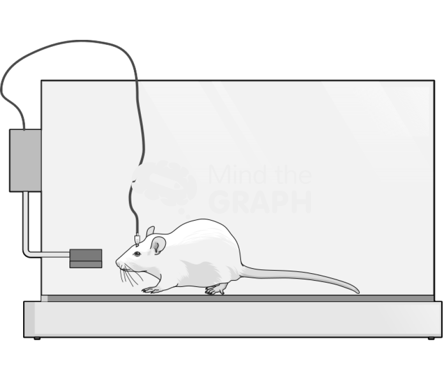 Self administration Icons, Symbols, Pictures, and Images