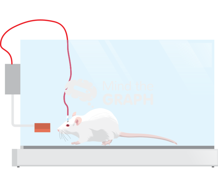 Self administration Icons, Symbols, Pictures, and Images