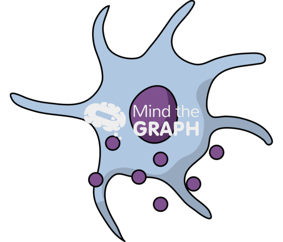 Free Senescent cell 4 Icons, Symbols, Pictures, and Images | Mind the Graph