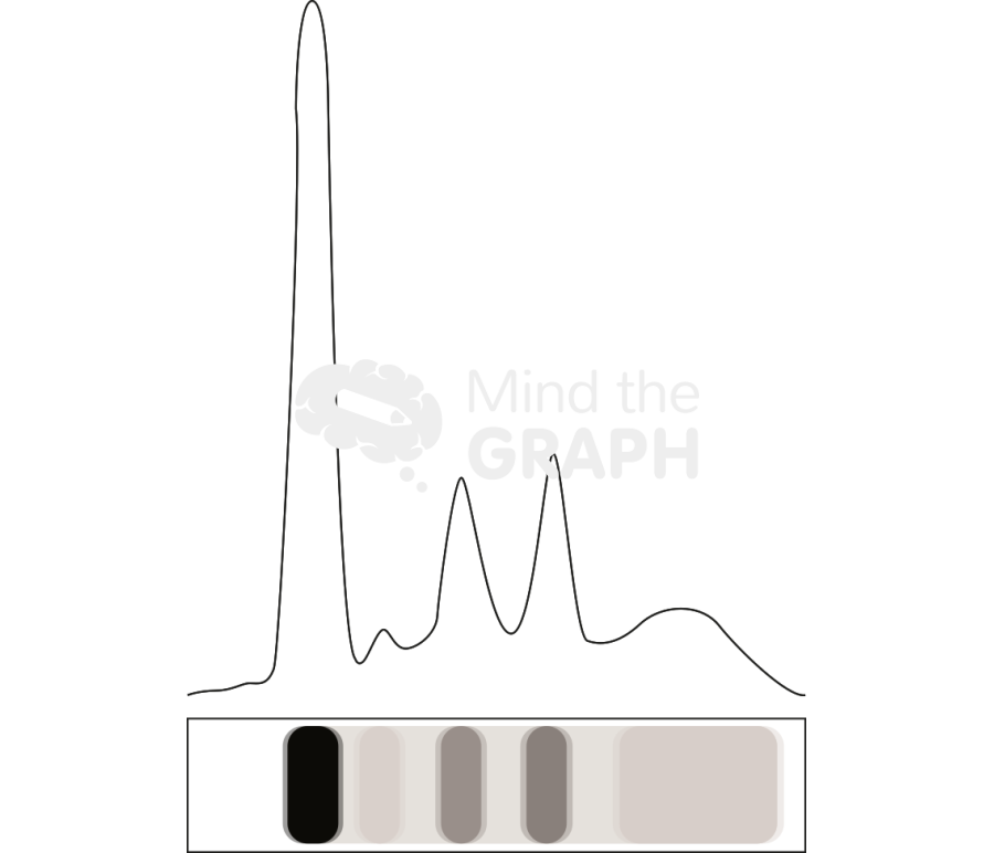Serum electrophoresis normal pattern Icons, Symbols, Pictures, and Images