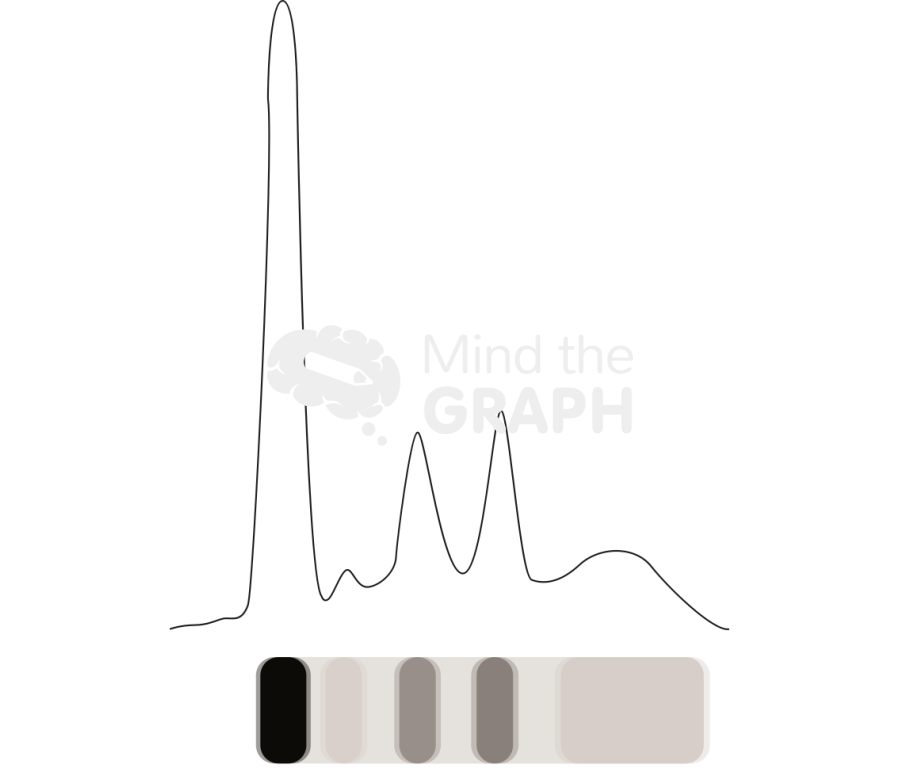 Serum electrophoresis normal pattern Icons, Symbols, Pictures, and Images