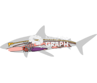 Shark anatomy lateral Icons, Symbols, Pictures, and Images