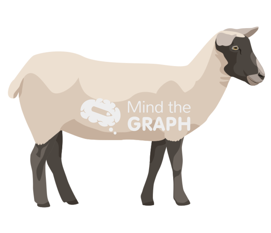 Sheep less fur Icons, Symbols, Pictures, and Images