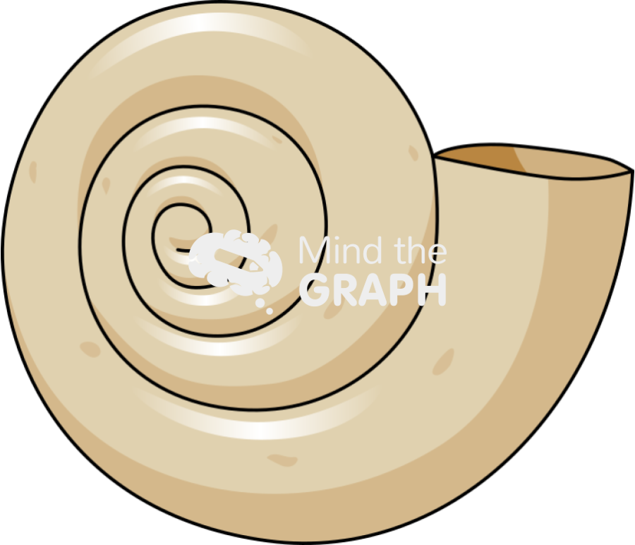 Shell ocean acidification 1 Icons, Symbols, Pictures, and Images