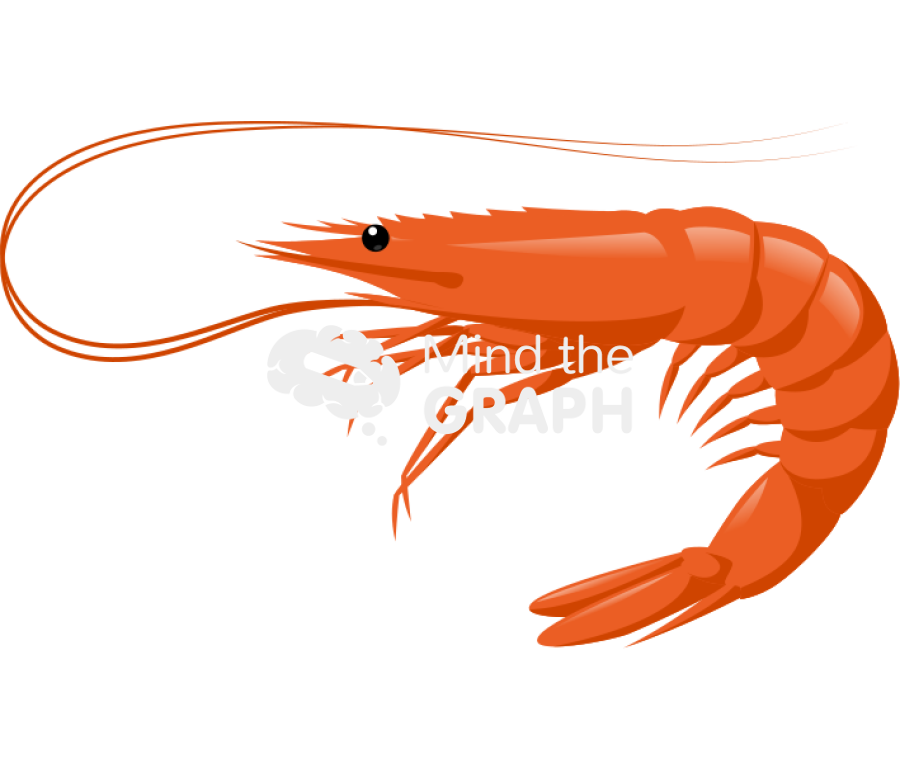 Shrimp Icons, Symbols, Pictures, and Images