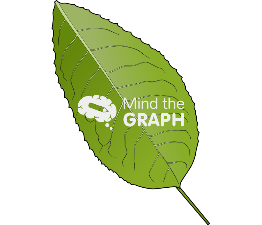 Simple leaf Icons, Symbols, Pictures, and Images