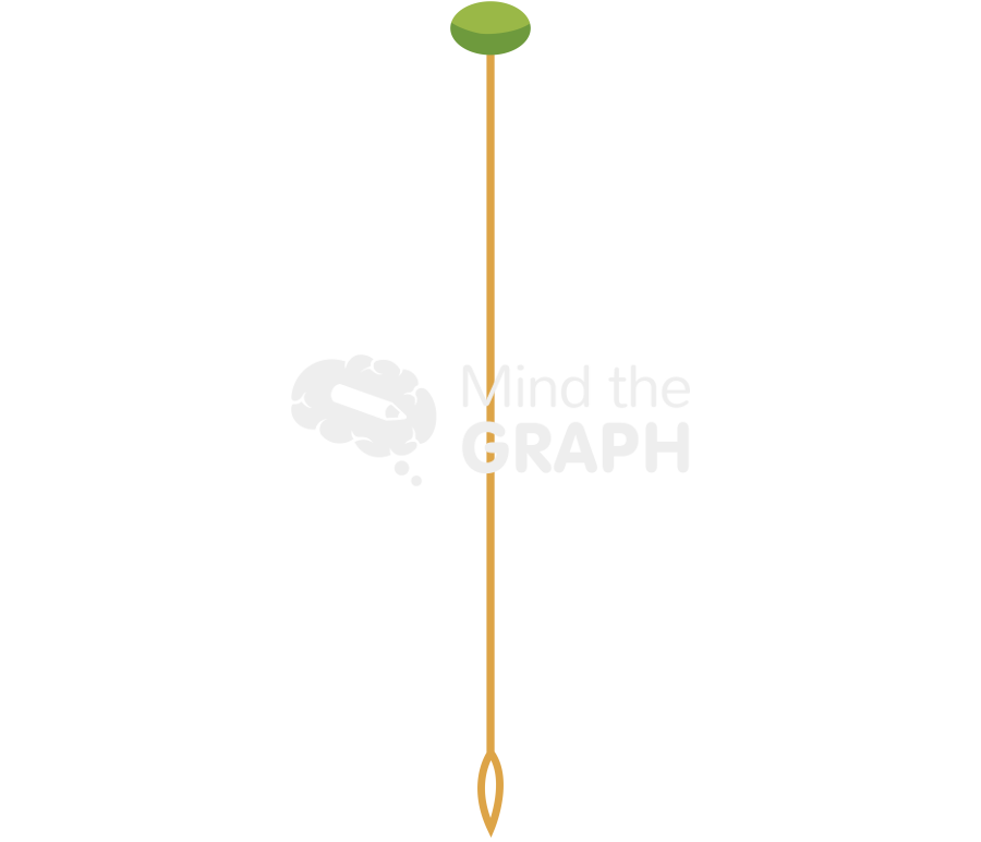 Single fibrous root Icons, Symbols, Pictures, and Images