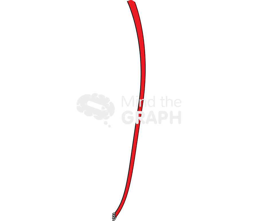 Skeletonized artery Icons, Symbols, Pictures, and Images