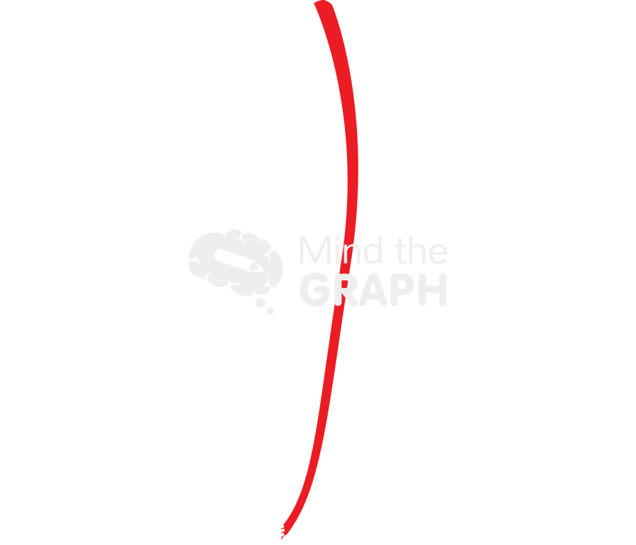 Skeletonized artery Icons, Symbols, Pictures, and Images