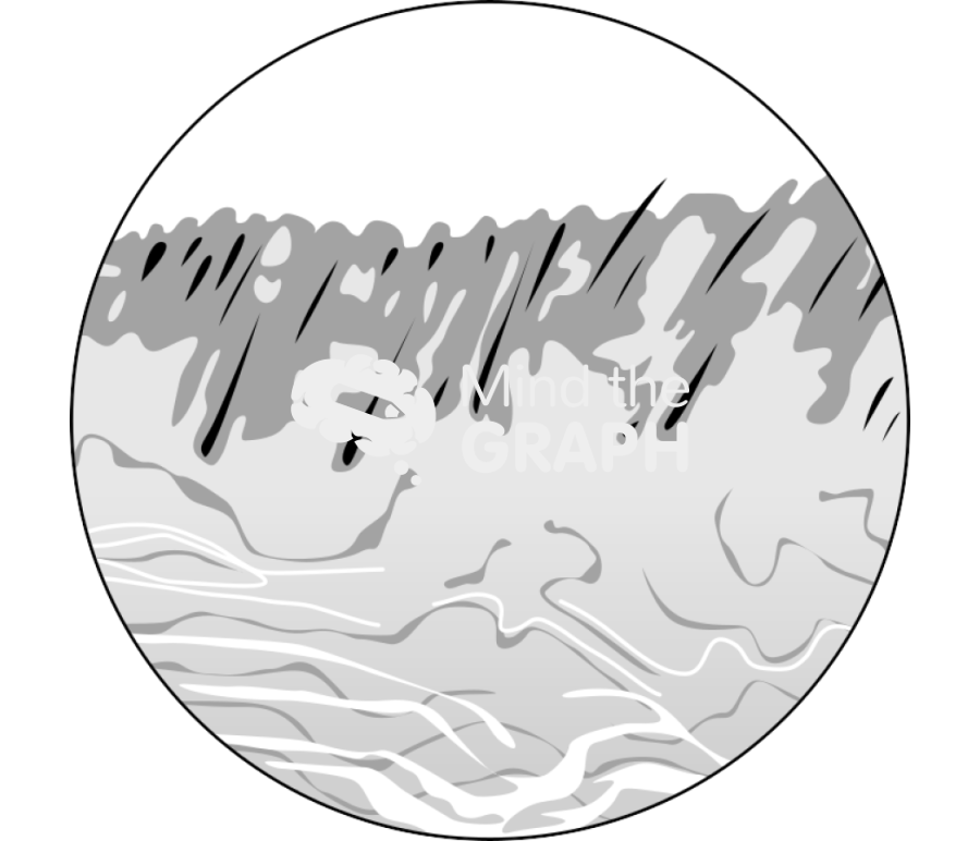 Skin 2 Icons, Symbols, Pictures, and Images