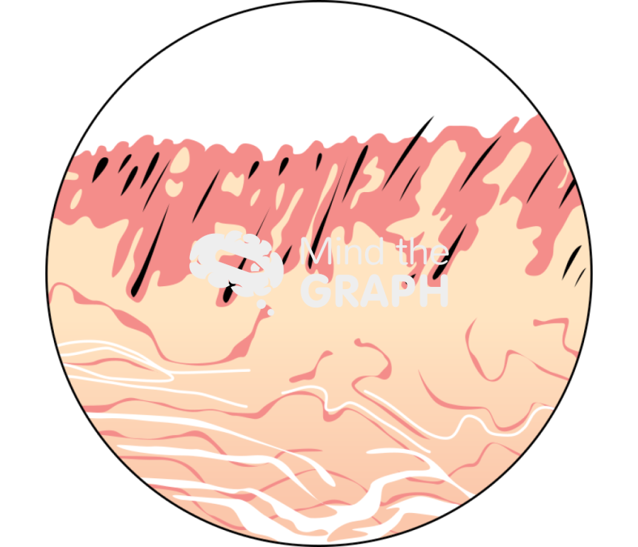 Skin 2 Icons, Symbols, Pictures, and Images