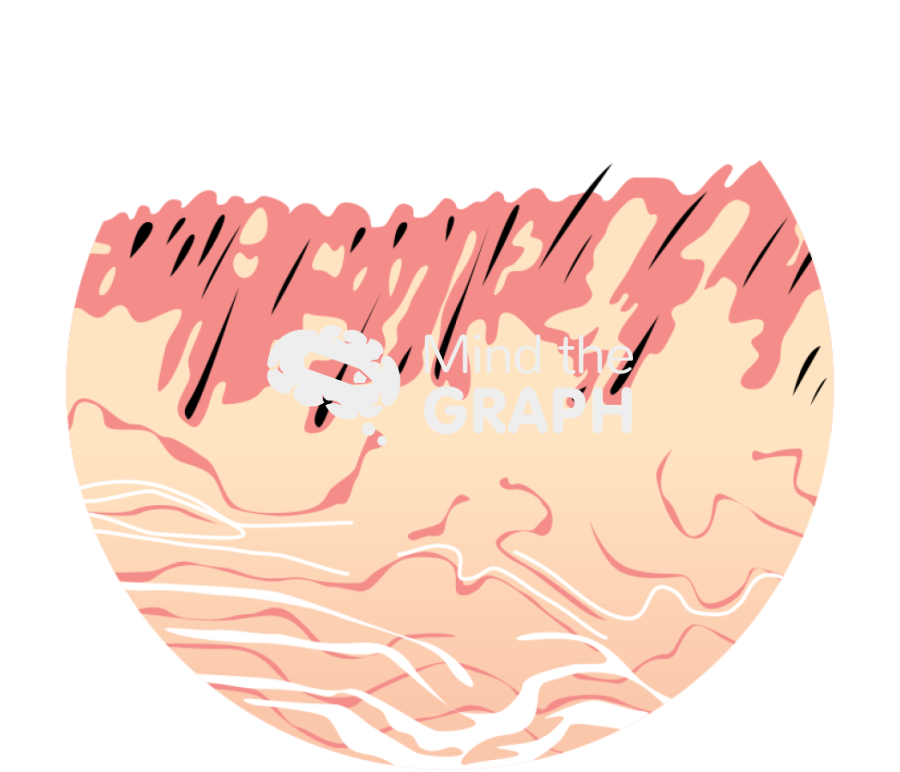 Skin 2 Icons, Symbols, Pictures, and Images