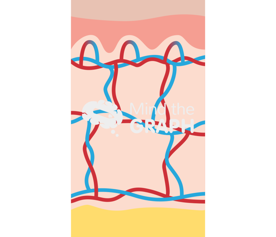 Skin blood vessels Icons, Symbols, Pictures, and Images