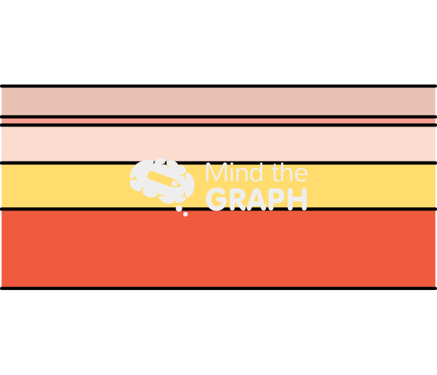 Skin epidermis dermis subcutaneous tissue 2 Icons, Symbols, Pictures, and Images